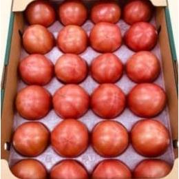 トマトM